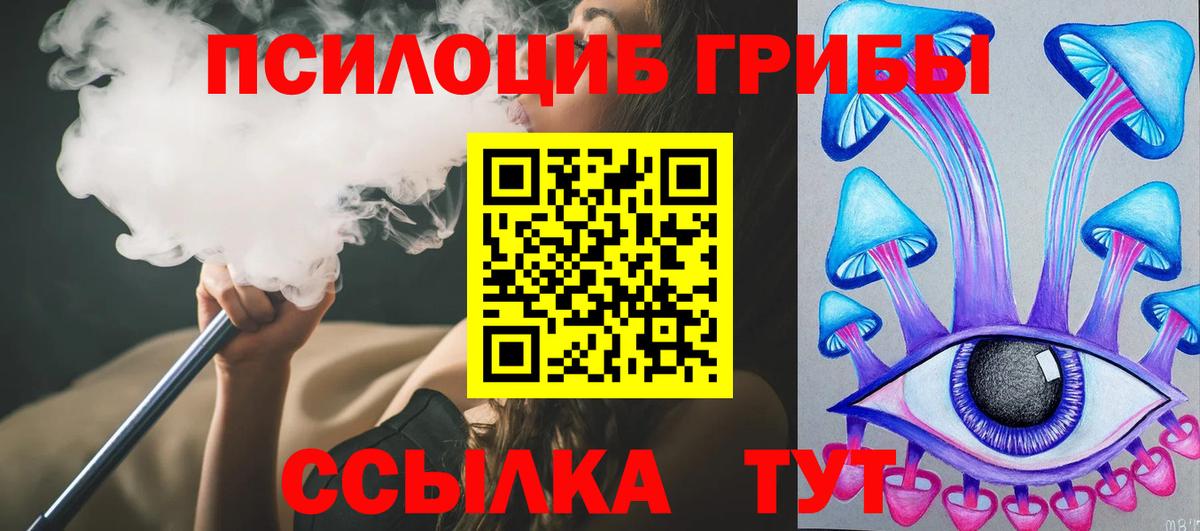 Псилоцибиновые грибы Psilocybine cubensis Новочебоксарск